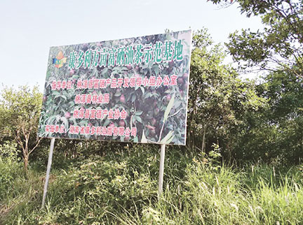 新利luck18(中国)体育·官方网站