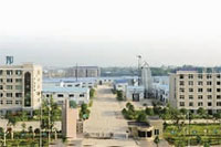 新利luck18,油茶种植出产加工销售,植物油种植出产加工销售